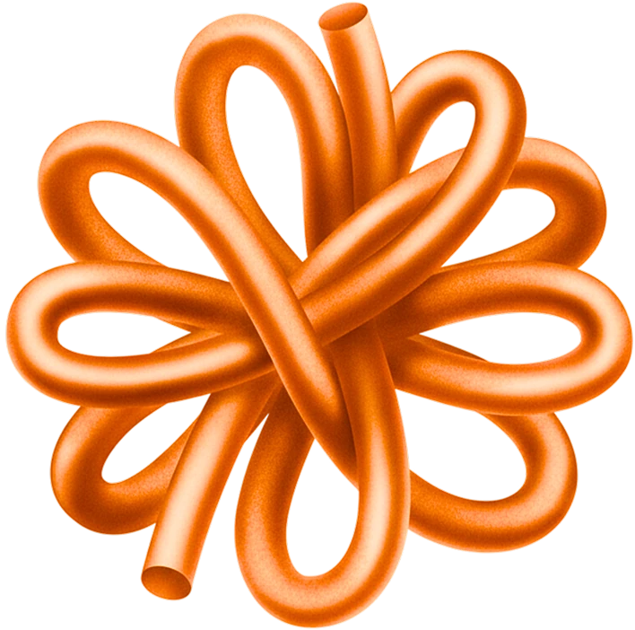 A bright orange, glossy, tube-like shape looping into a flower-like knot